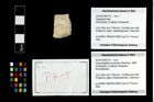 Foto (Objekt + Etikett) von Cracensigillatus acutirostris (Moericke, 1889)  (NHMW-GEO-2014-0194-0715)